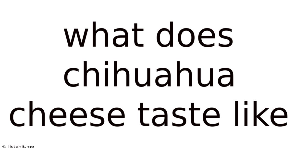 What Does Chihuahua Cheese Taste Like