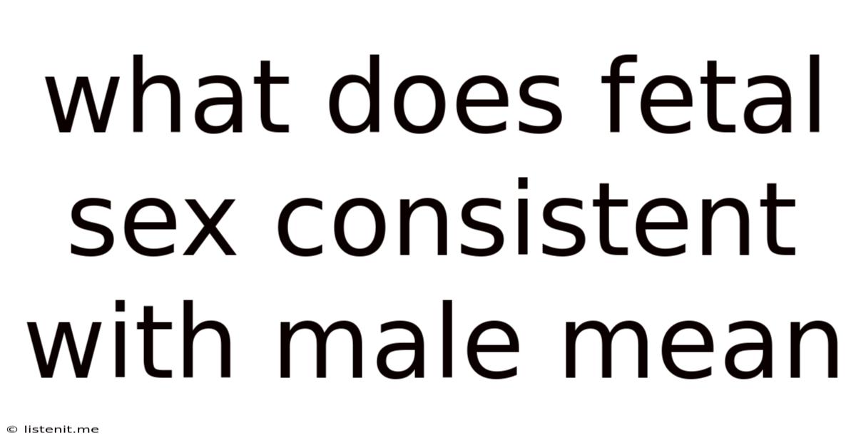 What Does Fetal Sex Consistent With Male Mean