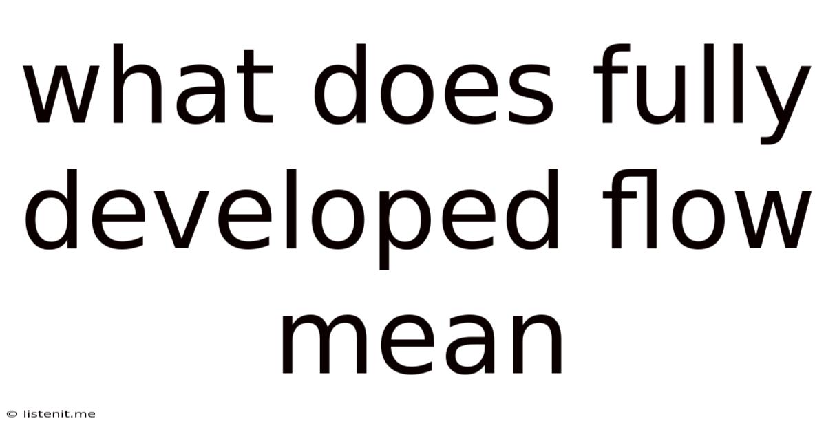 What Does Fully Developed Flow Mean