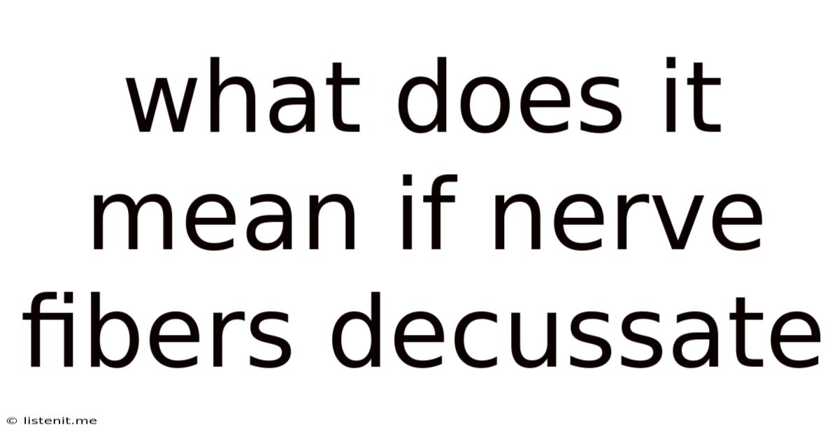 What Does It Mean If Nerve Fibers Decussate