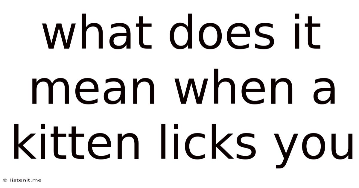 What Does It Mean When A Kitten Licks You