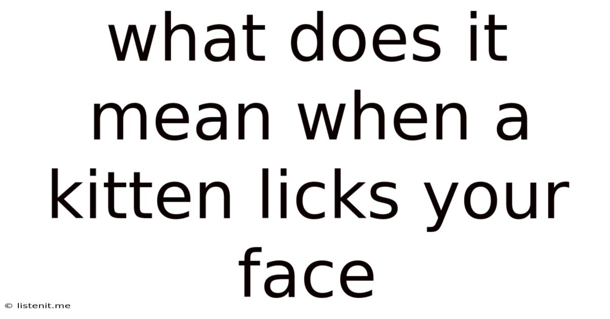 What Does It Mean When A Kitten Licks Your Face
