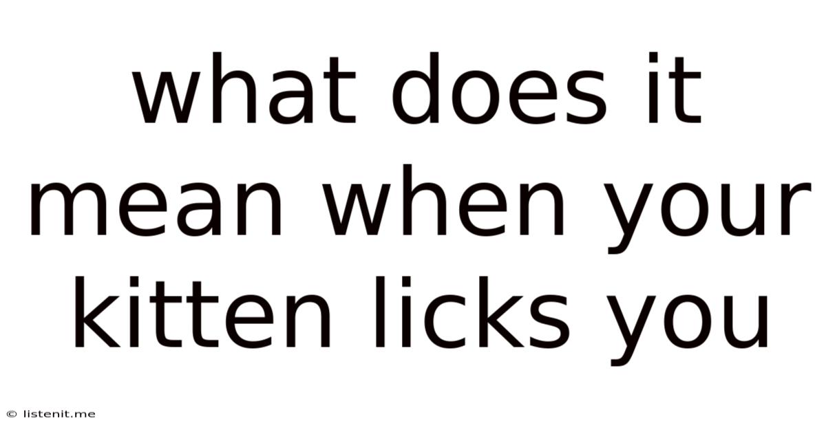 What Does It Mean When Your Kitten Licks You