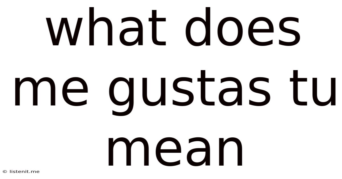 What Does Me Gustas Tu Mean