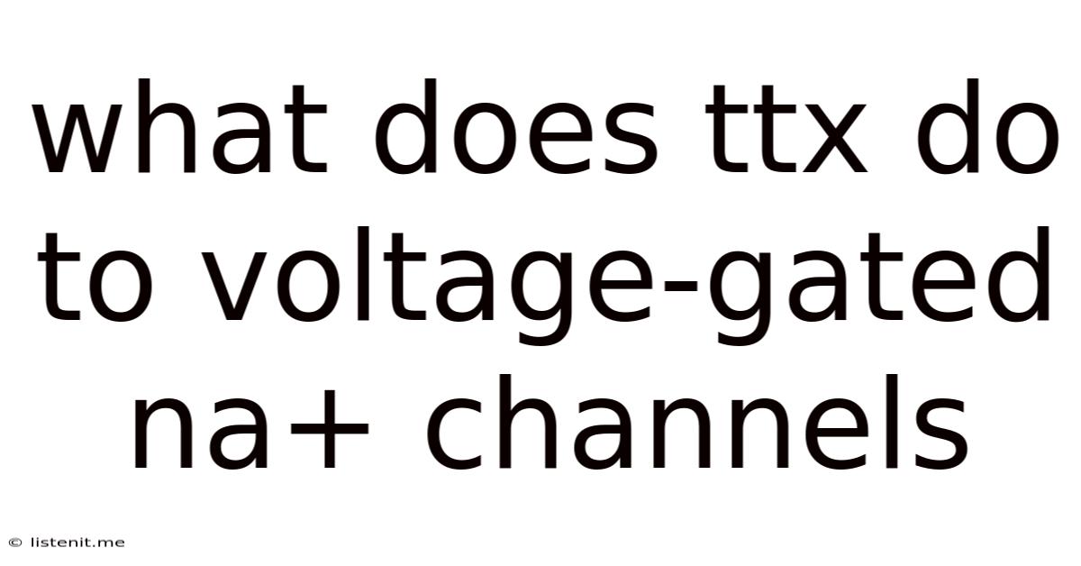 What Does Ttx Do To Voltage-gated Na+ Channels