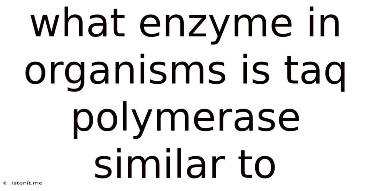 What Enzyme In Organisms Is Taq Polymerase Similar To
