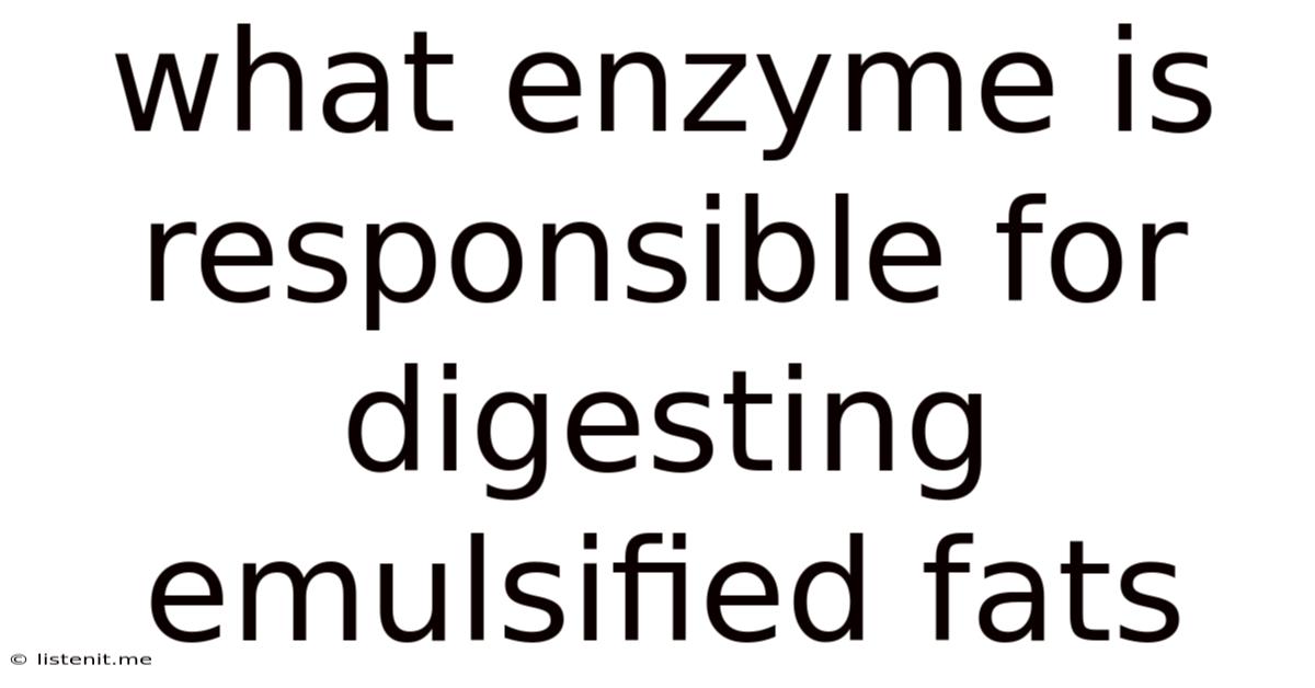 What Enzyme Is Responsible For Digesting Emulsified Fats