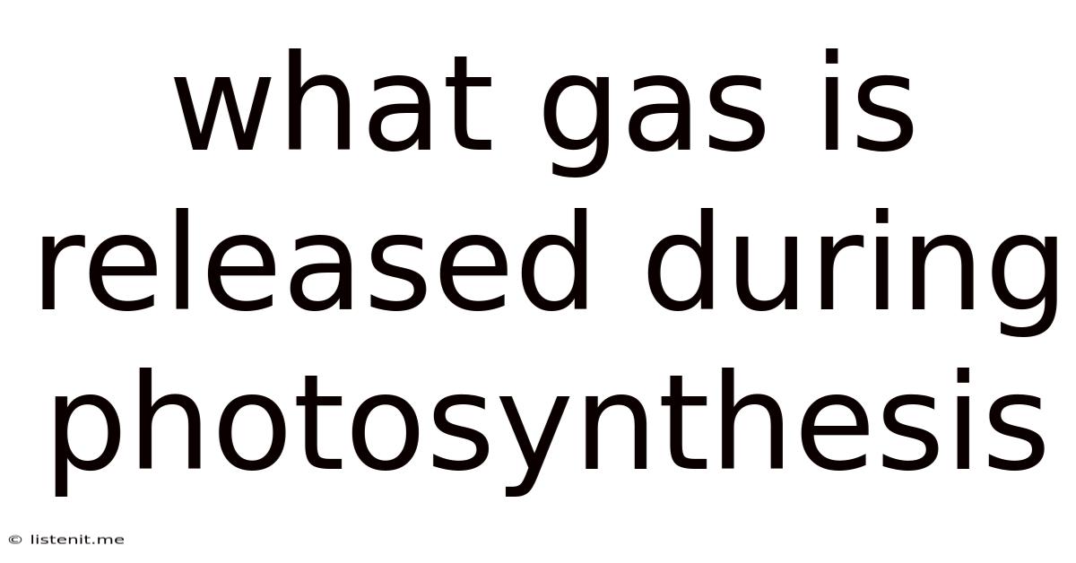 What Gas Is Released During Photosynthesis