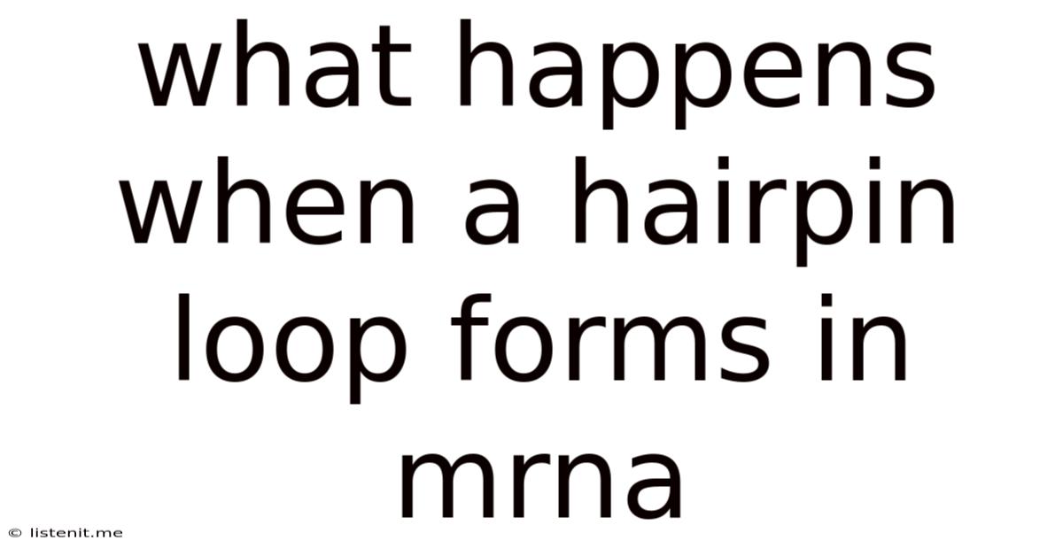 What Happens When A Hairpin Loop Forms In Mrna
