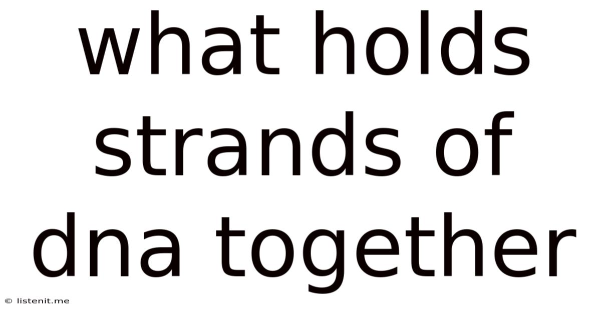 What Holds Strands Of Dna Together
