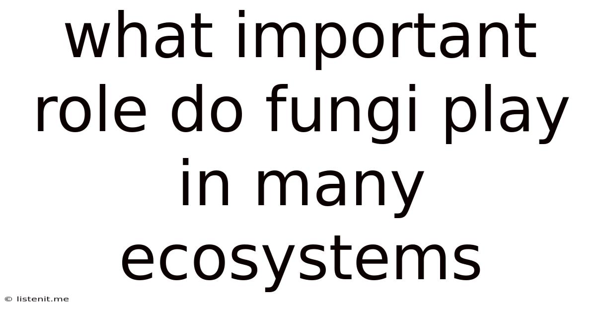 What Important Role Do Fungi Play In Many Ecosystems