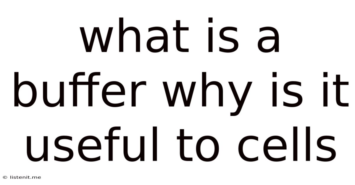 What Is A Buffer Why Is It Useful To Cells