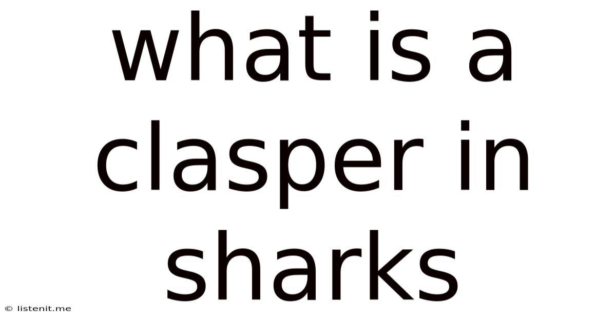 What Is A Clasper In Sharks