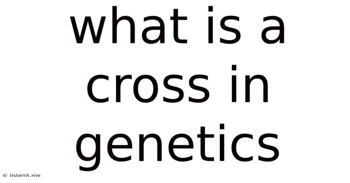 What Is A Cross In Genetics