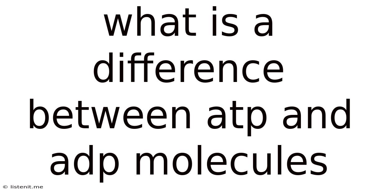 What Is A Difference Between Atp And Adp Molecules