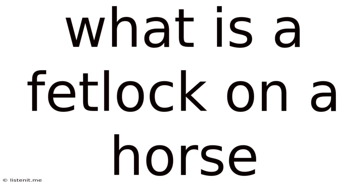 What Is A Fetlock On A Horse