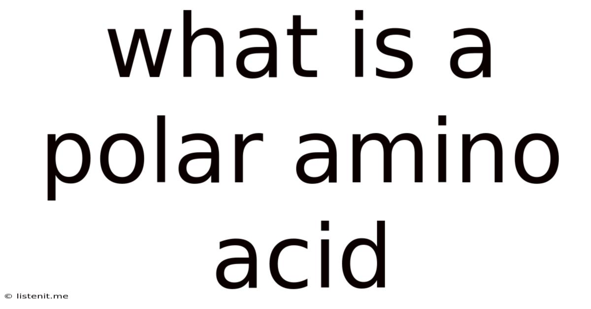 What Is A Polar Amino Acid