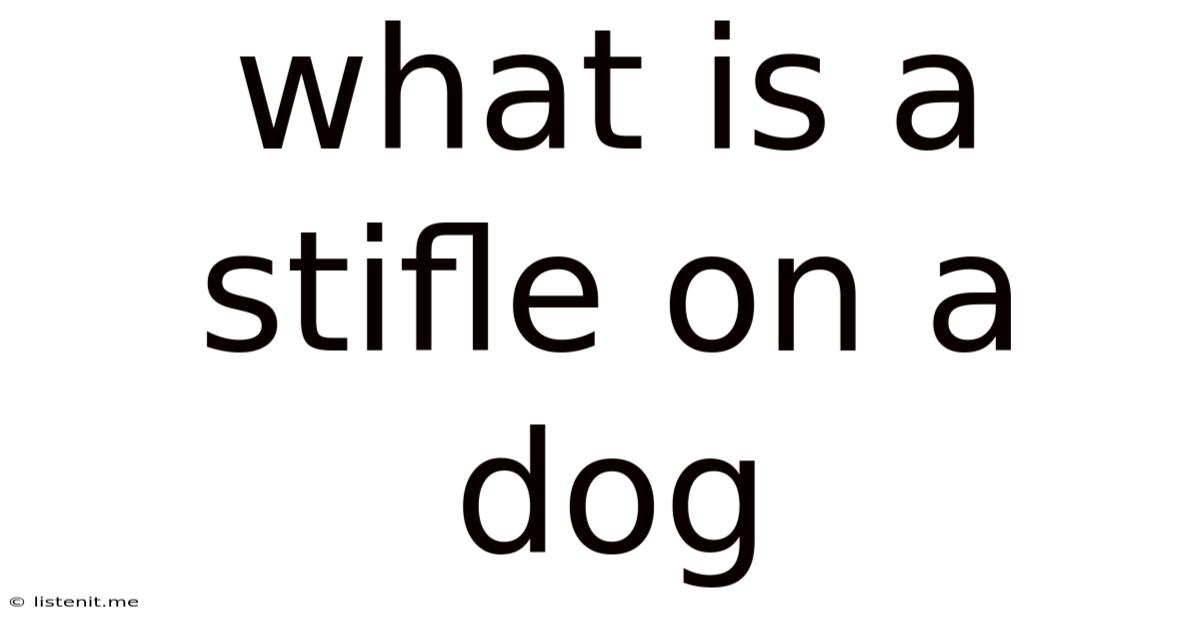 What Is A Stifle On A Dog