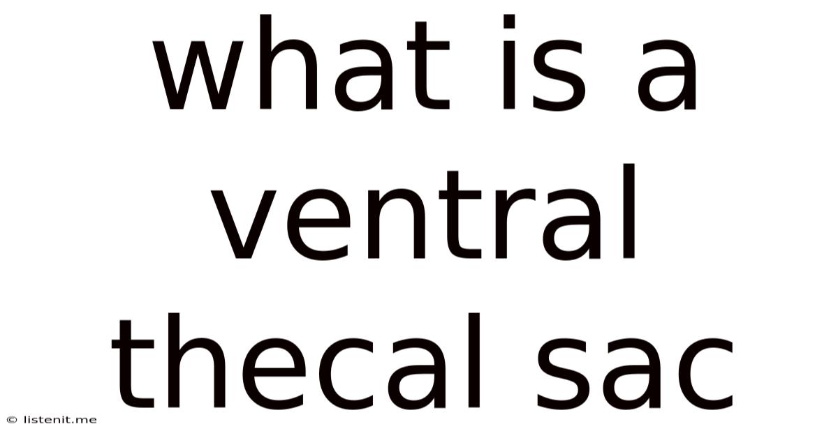What Is A Ventral Thecal Sac