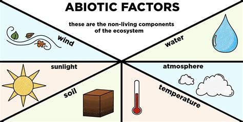 What Is An Example Of Abiotic Factor