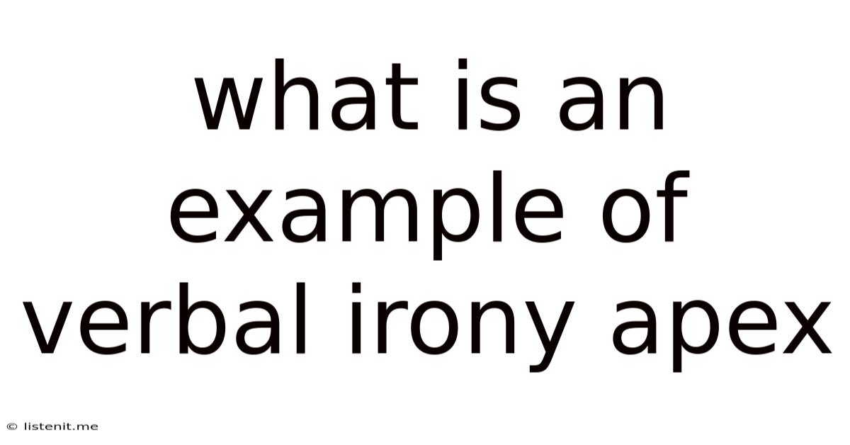What Is An Example Of Verbal Irony Apex