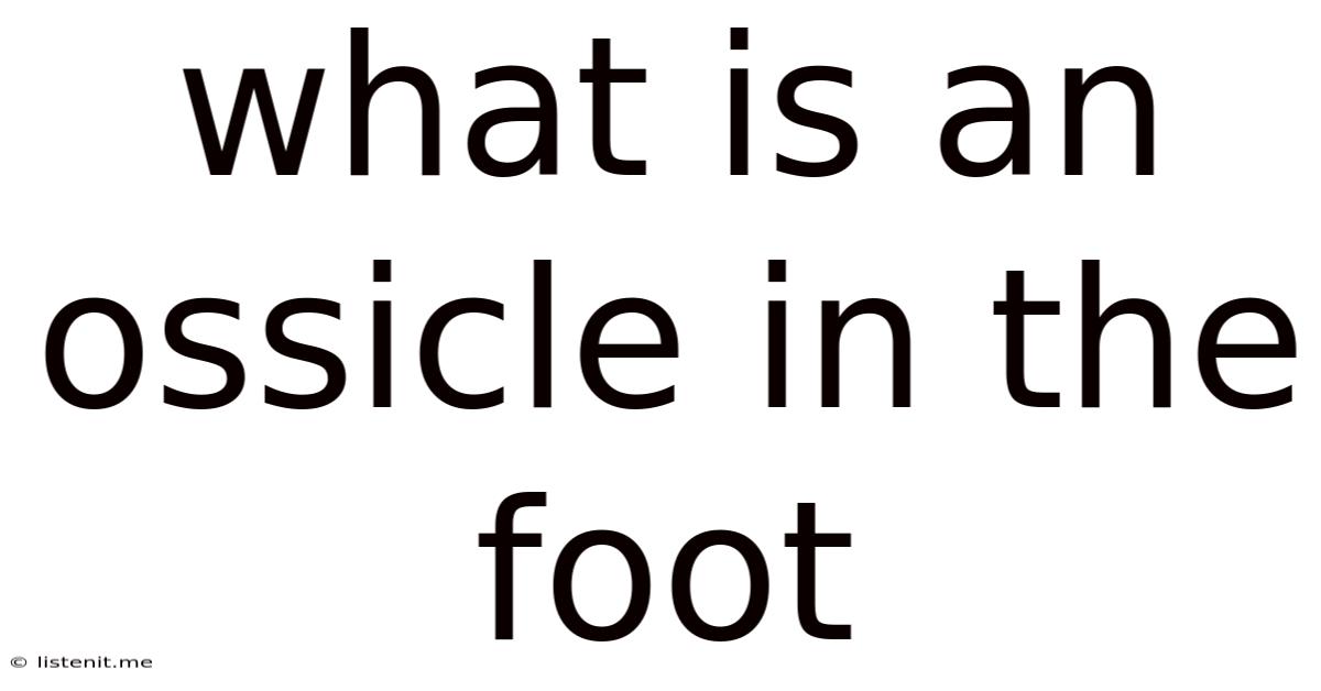What Is An Ossicle In The Foot
