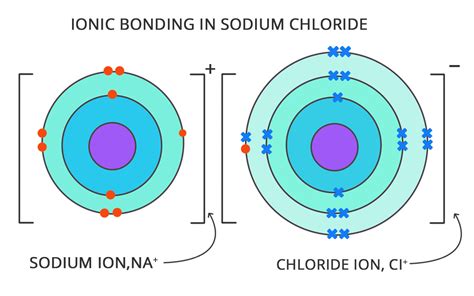 What Is Difference Between Atom And Ion