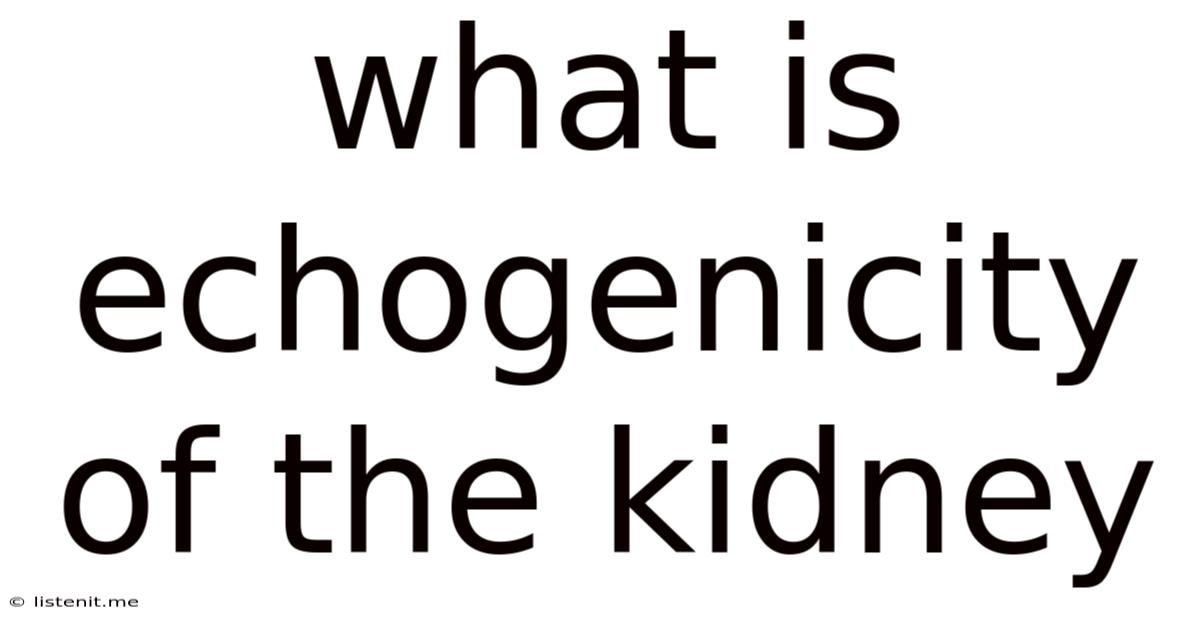 What Is Echogenicity Of The Kidney