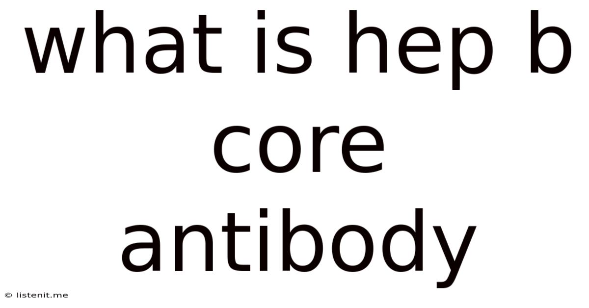 What Is Hep B Core Antibody