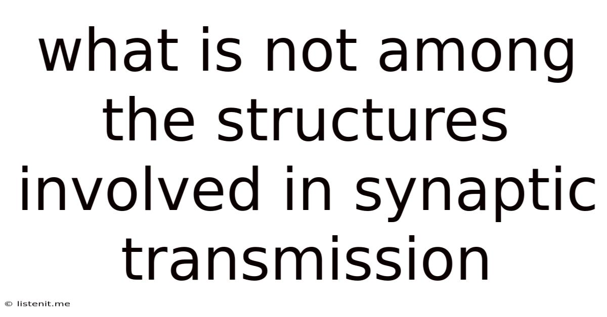 What Is Not Among The Structures Involved In Synaptic Transmission