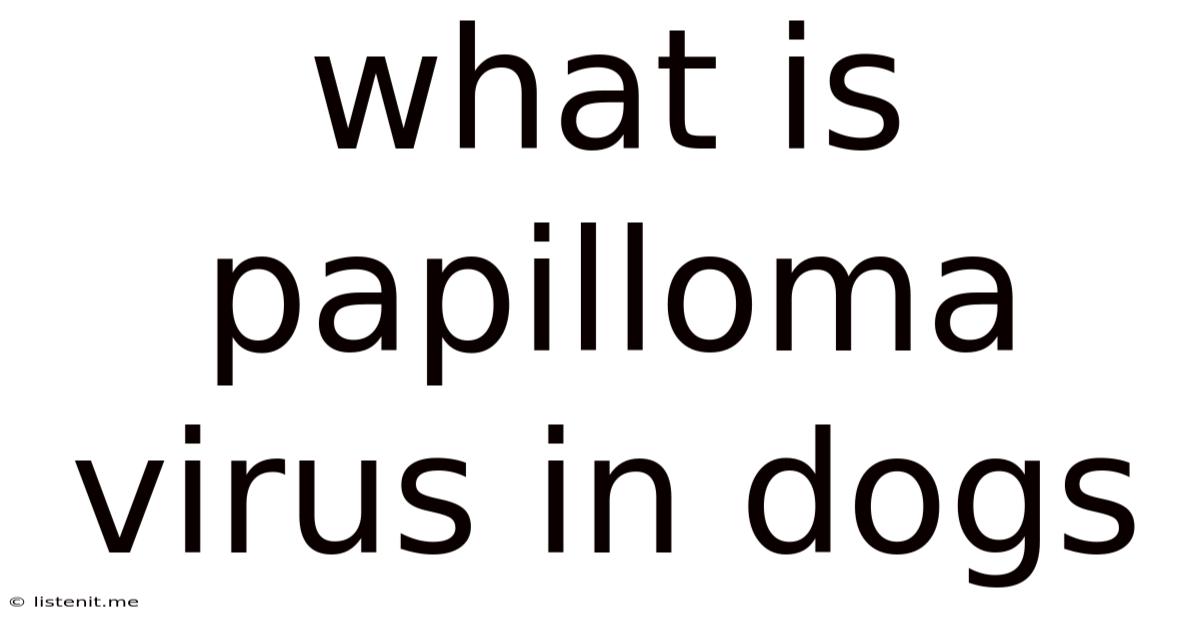 What Is Papilloma Virus In Dogs
