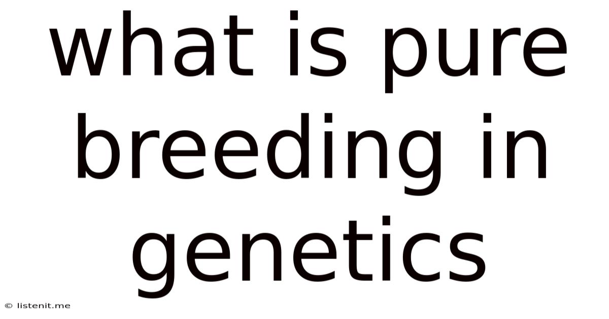 What Is Pure Breeding In Genetics