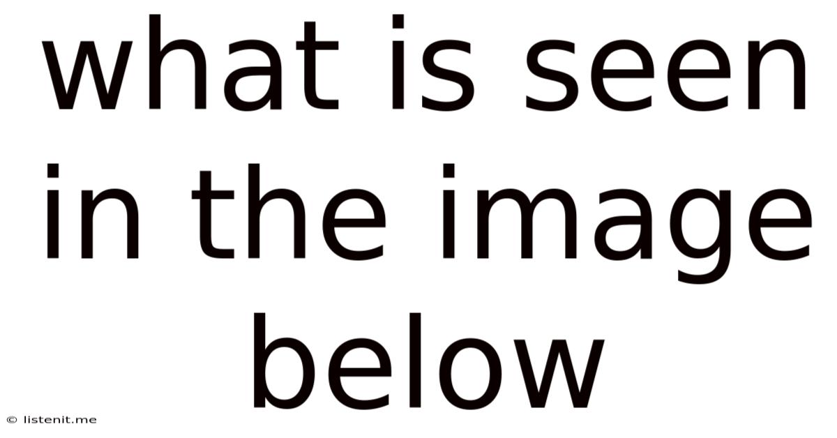 What Is Seen In The Image Below