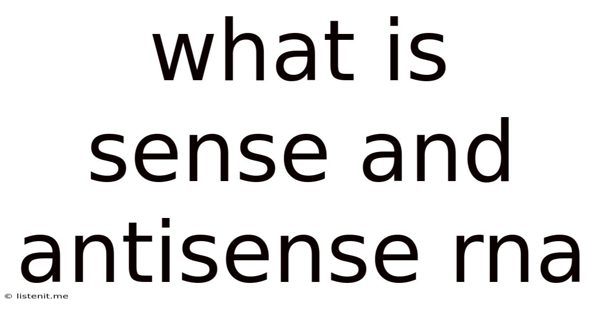 What Is Sense And Antisense Rna