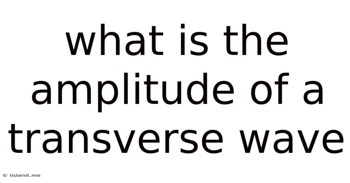 What Is The Amplitude Of A Transverse Wave