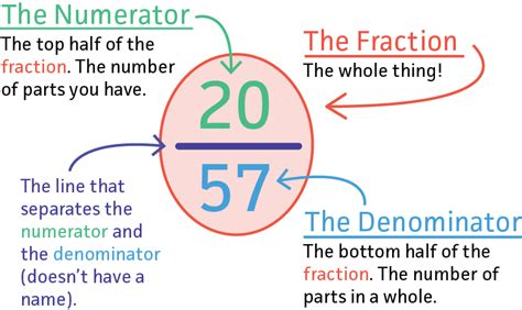 What Is The Bottom Number In A Fraction Called