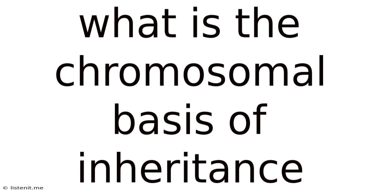 What Is The Chromosomal Basis Of Inheritance