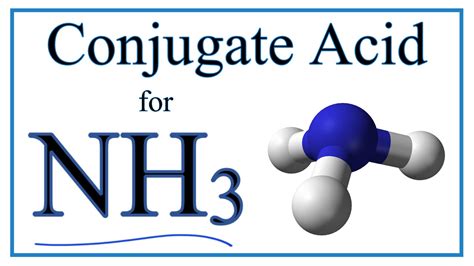 What Is The Conjugate Acid For Nh3