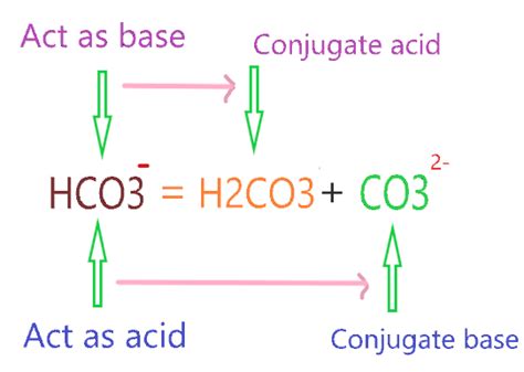 What Is The Conjugate Acid Of Hco3