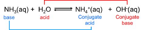 What Is The Conjugate Base Of Ammonia