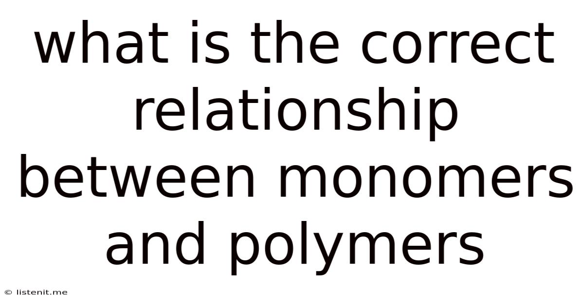 What Is The Correct Relationship Between Monomers And Polymers