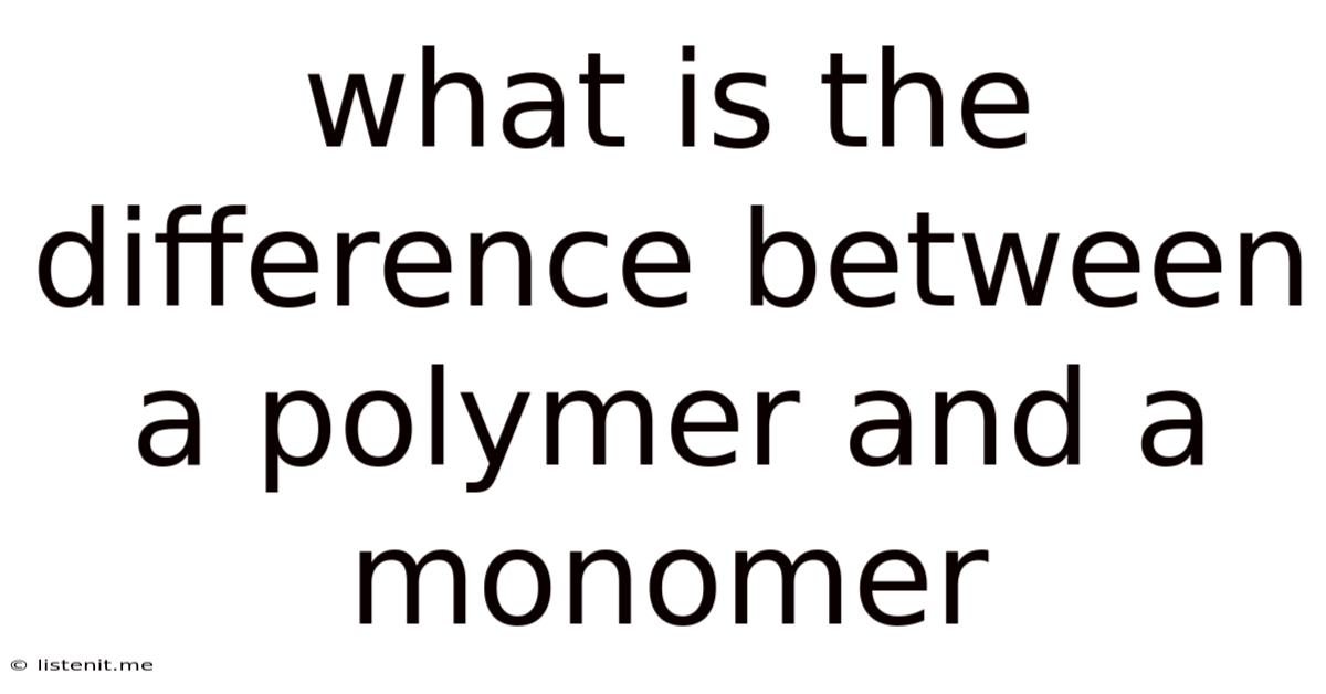 What Is The Difference Between A Polymer And A Monomer