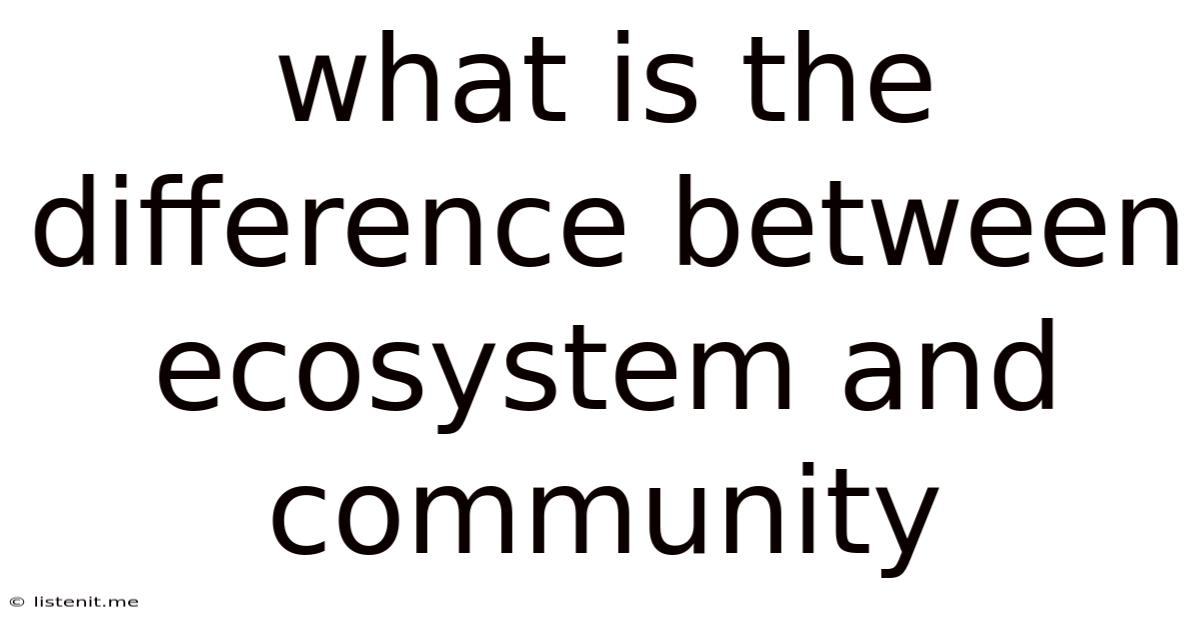 What Is The Difference Between Ecosystem And Community