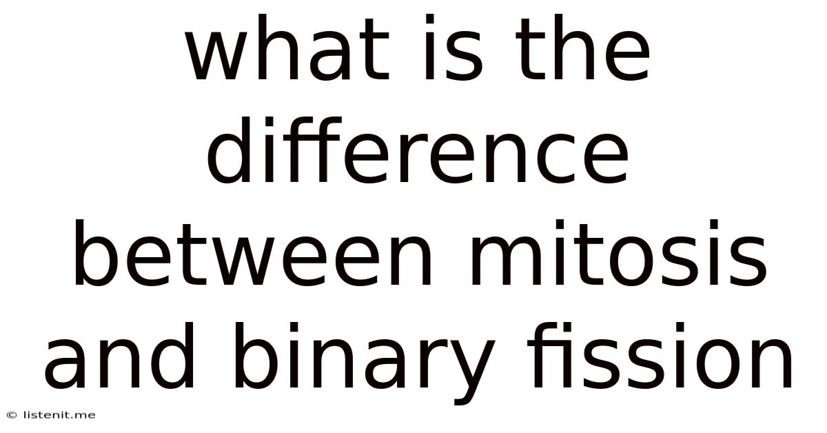 What Is The Difference Between Mitosis And Binary Fission
