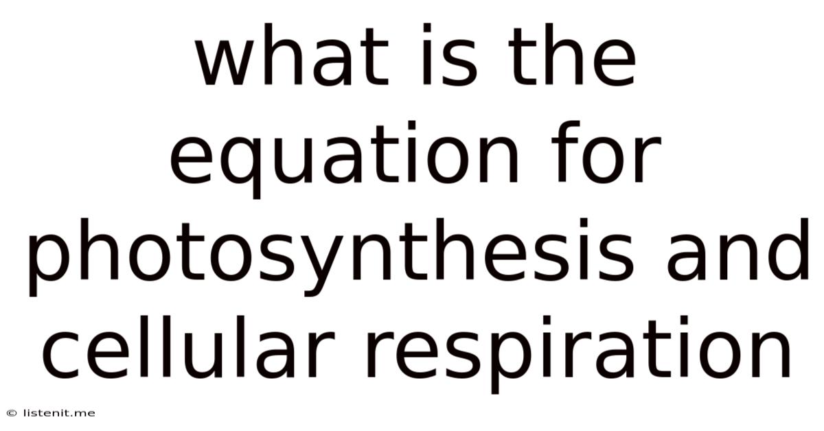 What Is The Equation For Photosynthesis And Cellular Respiration