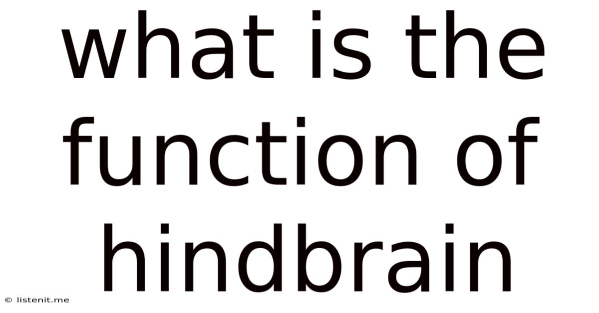 What Is The Function Of Hindbrain