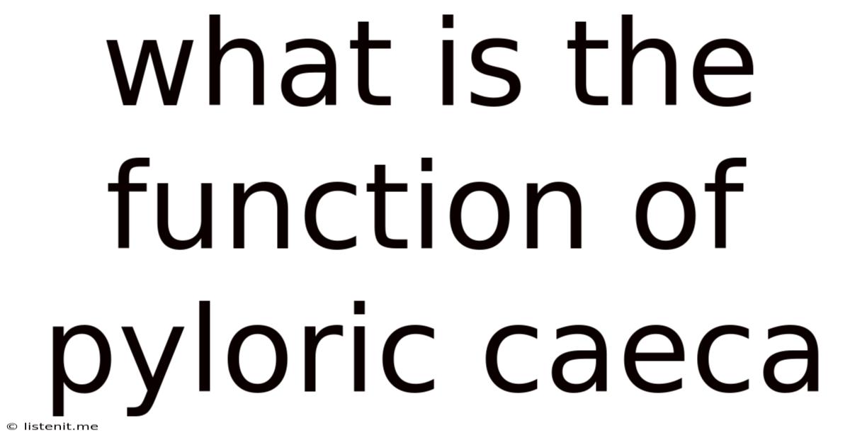 What Is The Function Of Pyloric Caeca