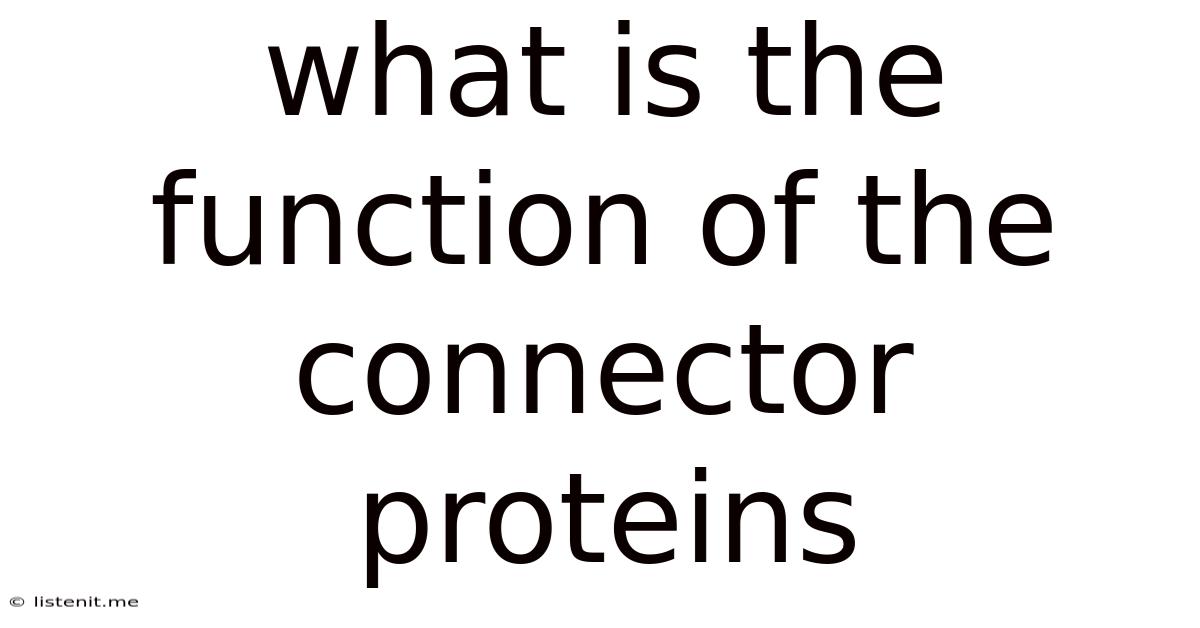 What Is The Function Of The Connector Proteins