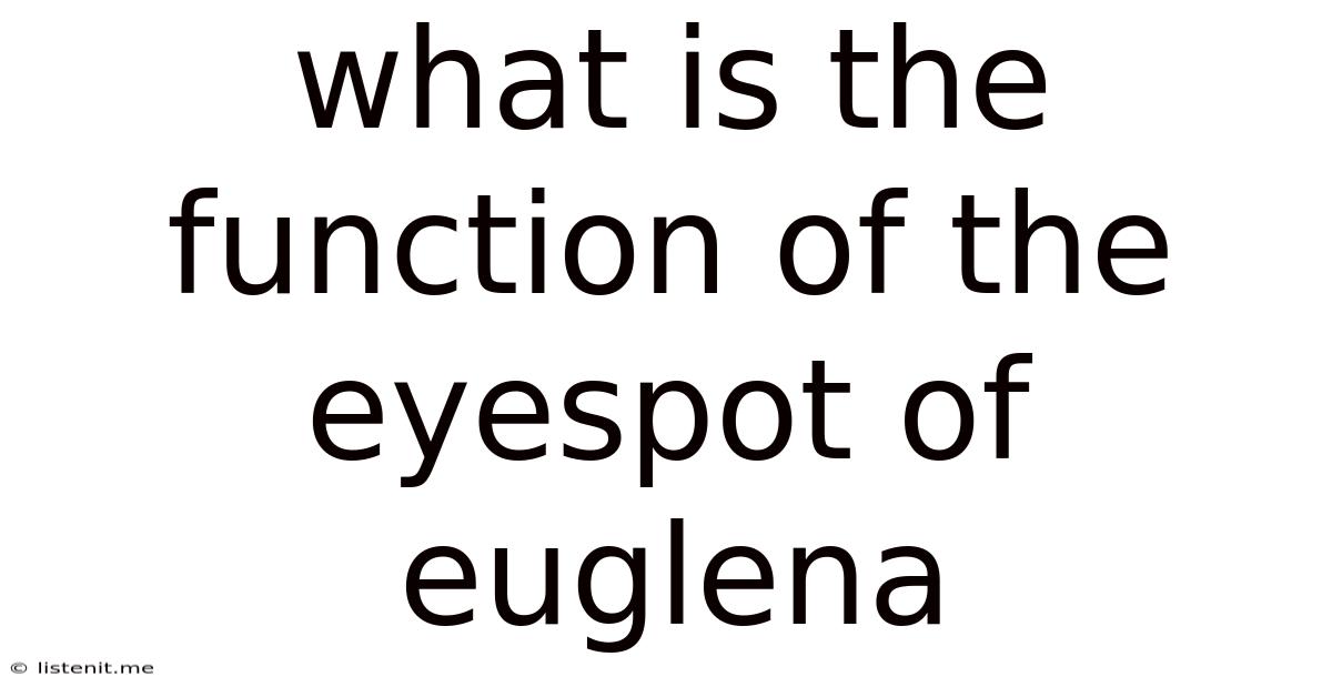 What Is The Function Of The Eyespot Of Euglena