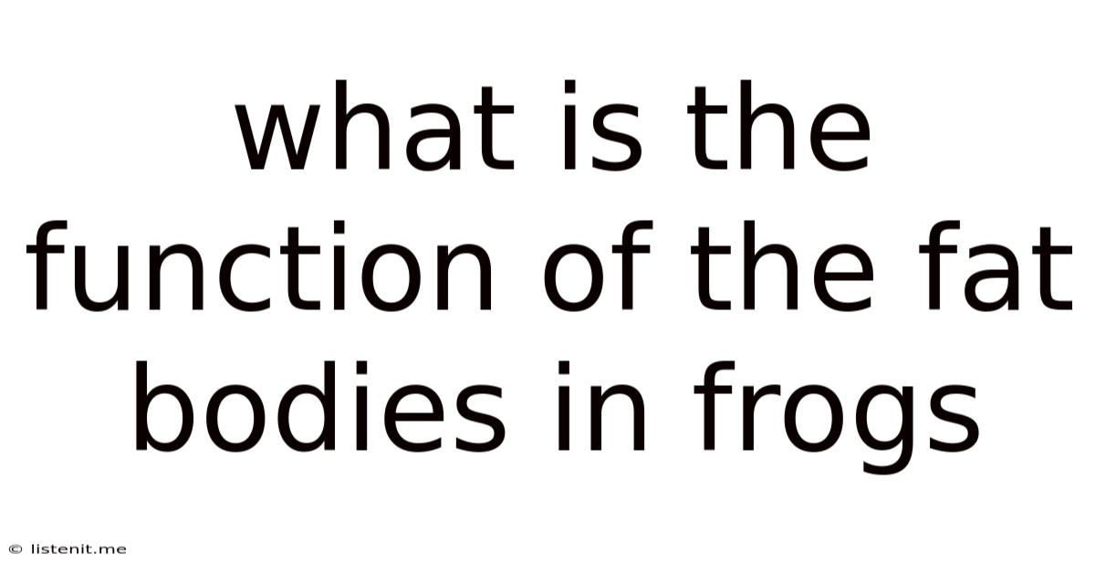 What Is The Function Of The Fat Bodies In Frogs